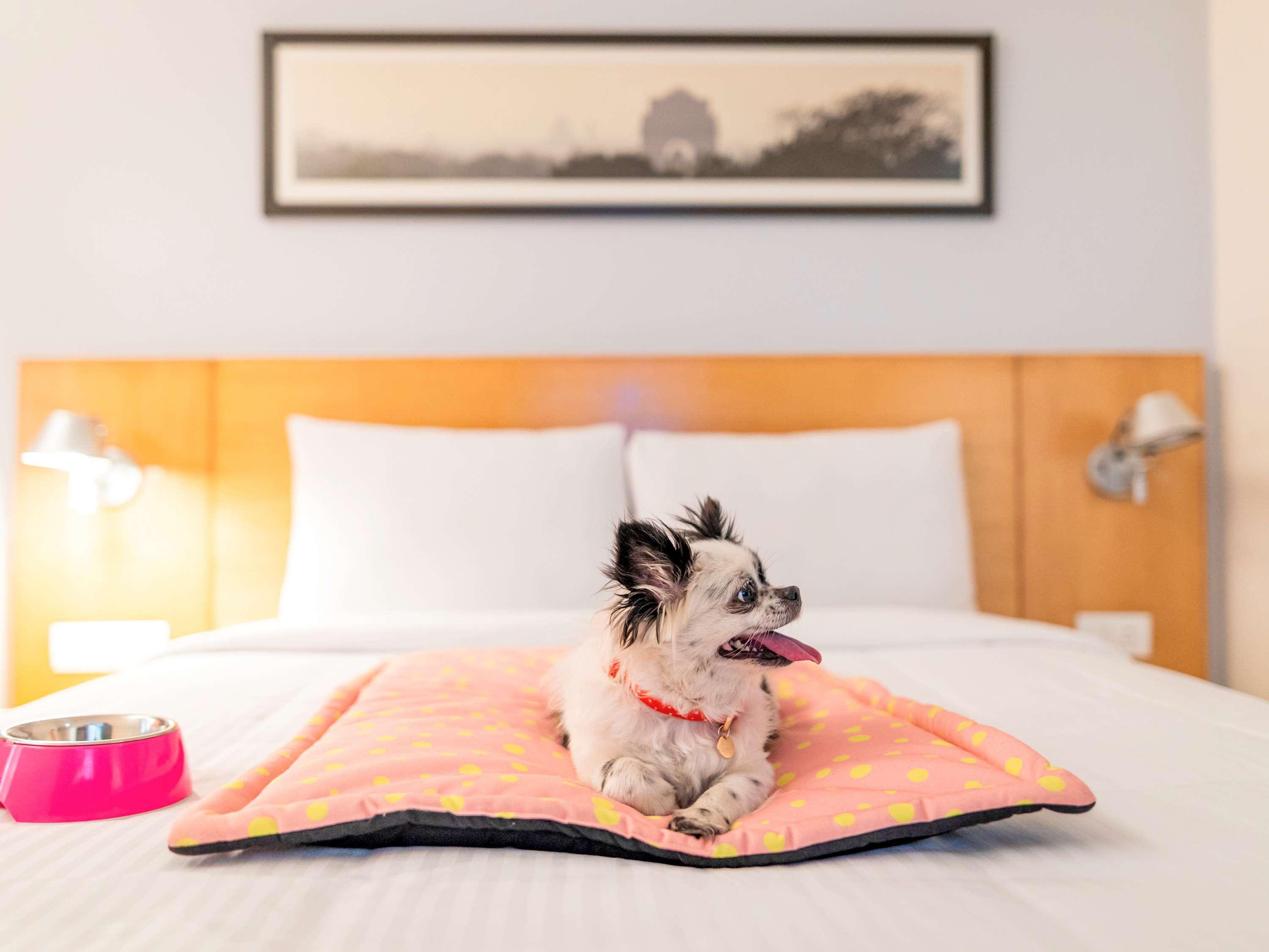 Ibis Bengaluru Hosur Road - An Accor Brand Hotel Buitenkant foto
