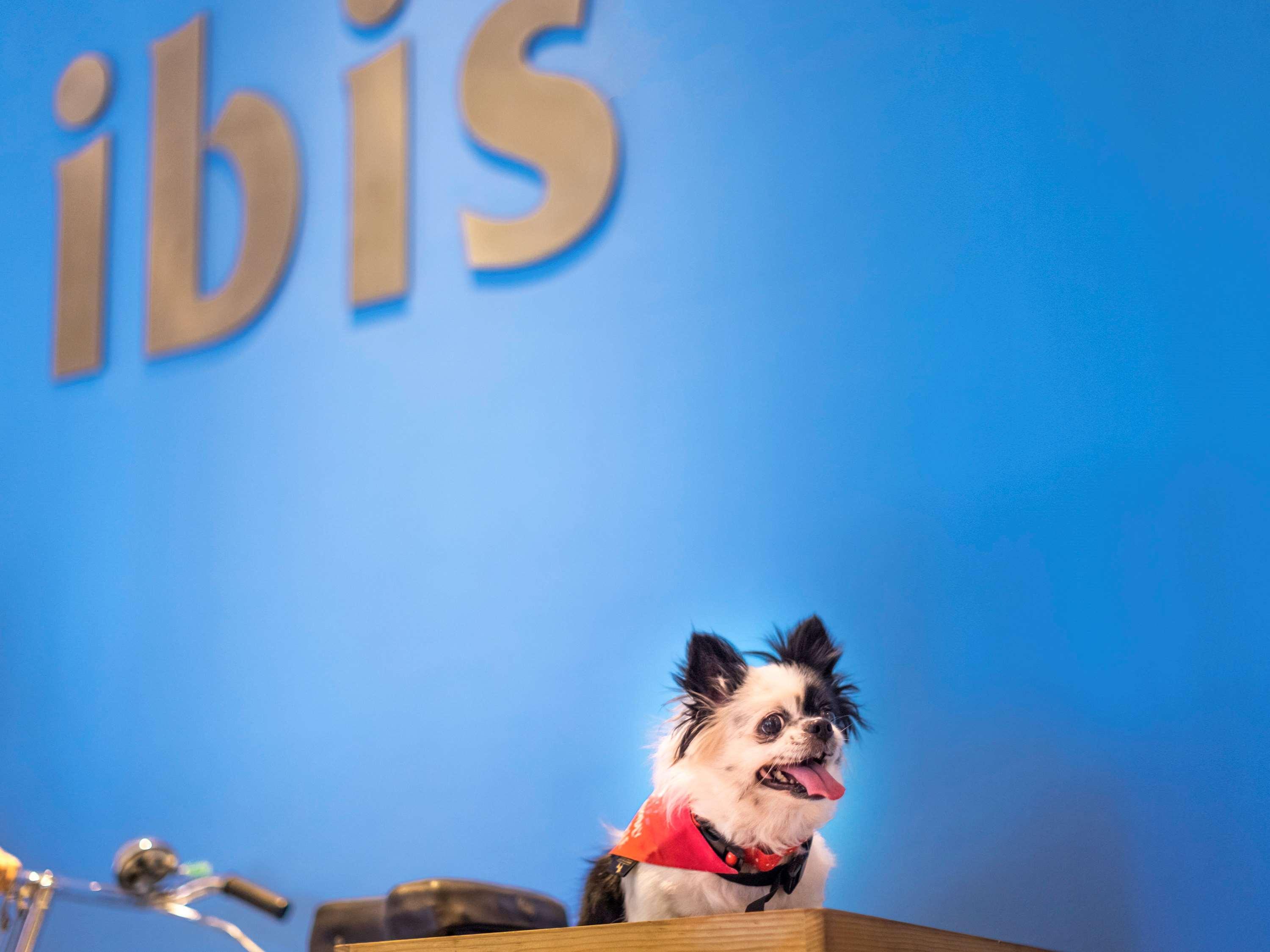 Ibis Bengaluru Hosur Road - An Accor Brand Hotel Buitenkant foto